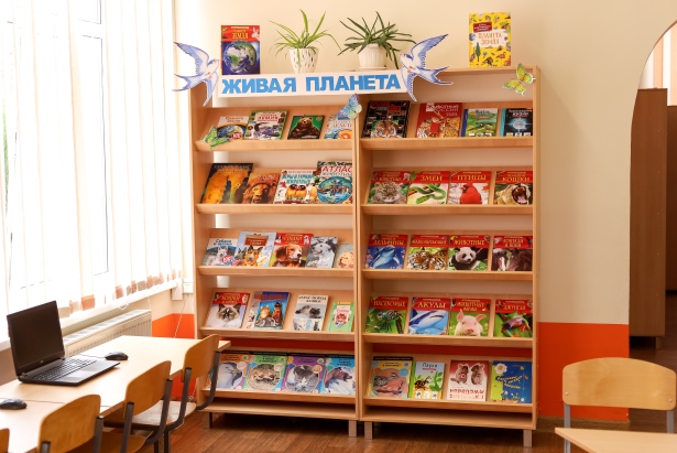 фото библиотеки