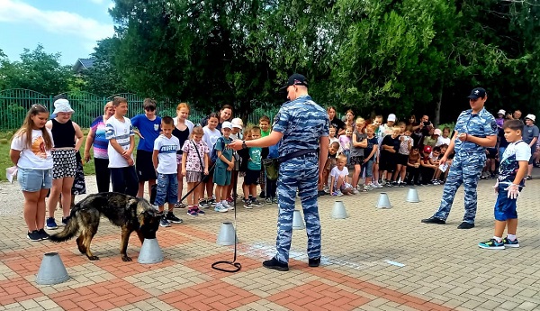 еще кинологи
